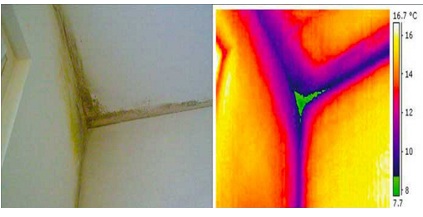 thermal bridges detected with thermography causing mold on an interior wall